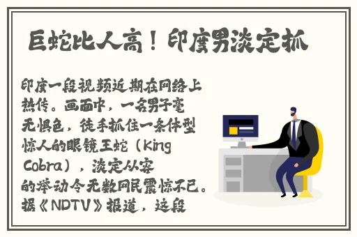 欧洲vodafonewifi侏儒